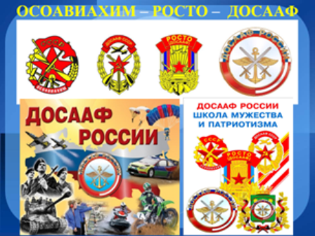 article245.jpg
